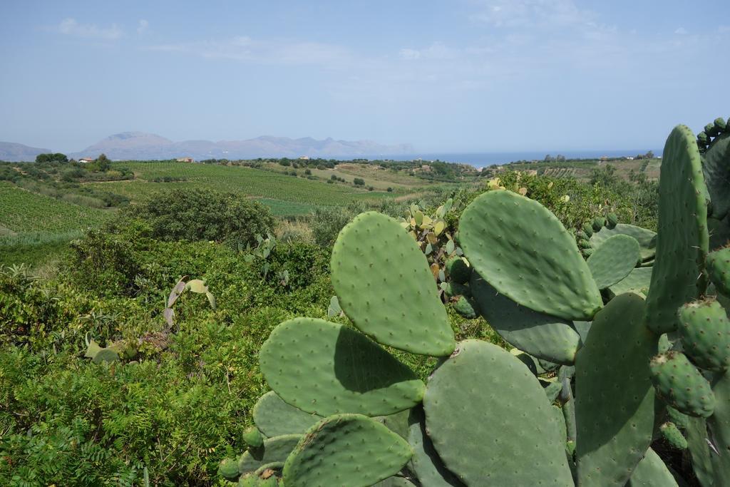 Casamatta Villa Trappeto  Dış mekan fotoğraf